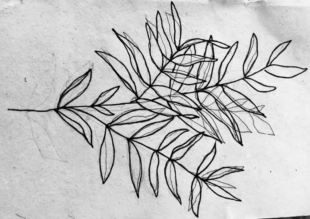 Thistle & Thorn branding mood board sketch